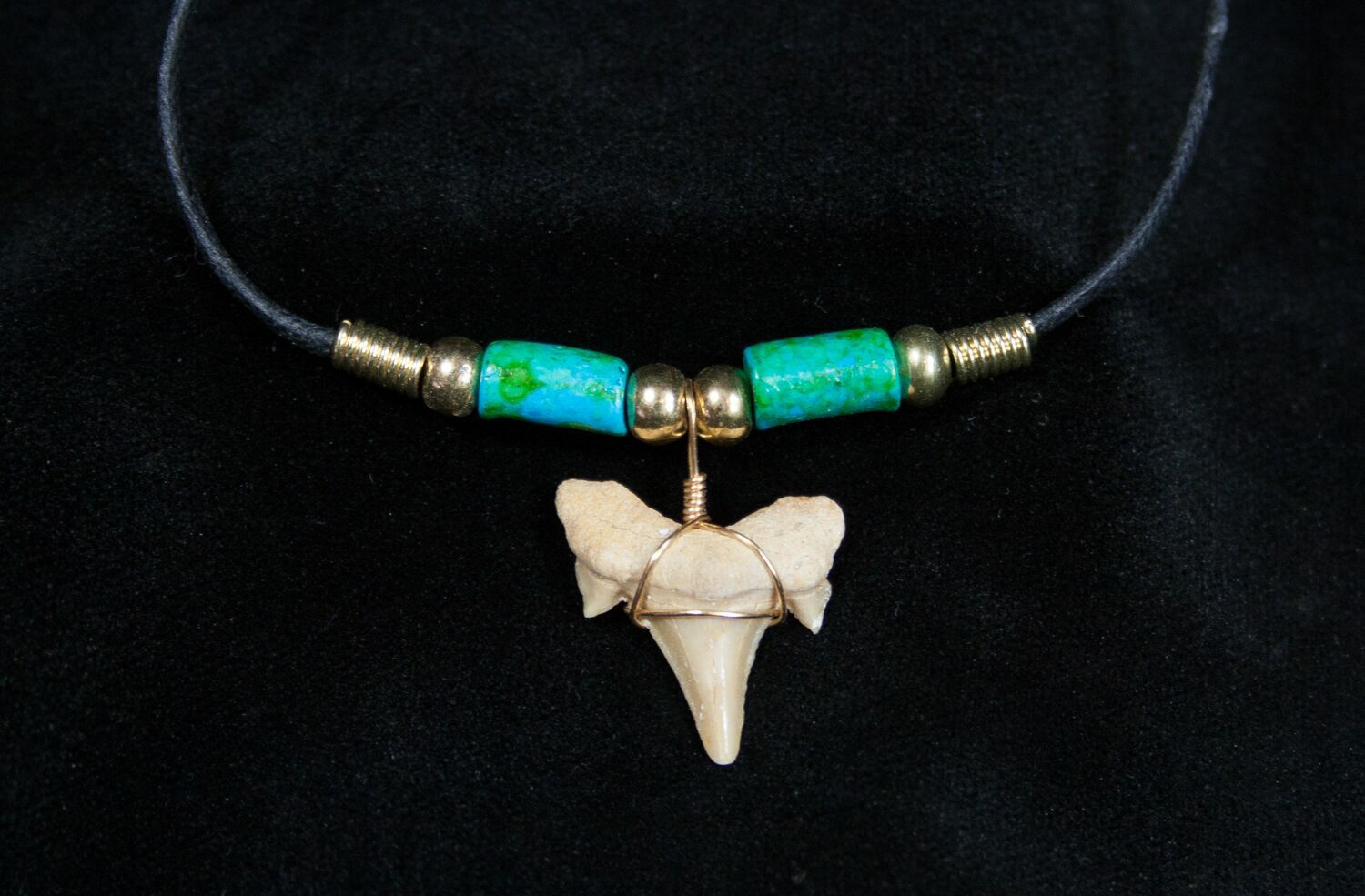 Fossil Shark Tooth Necklace For Sale (#603) - FossilEra.com