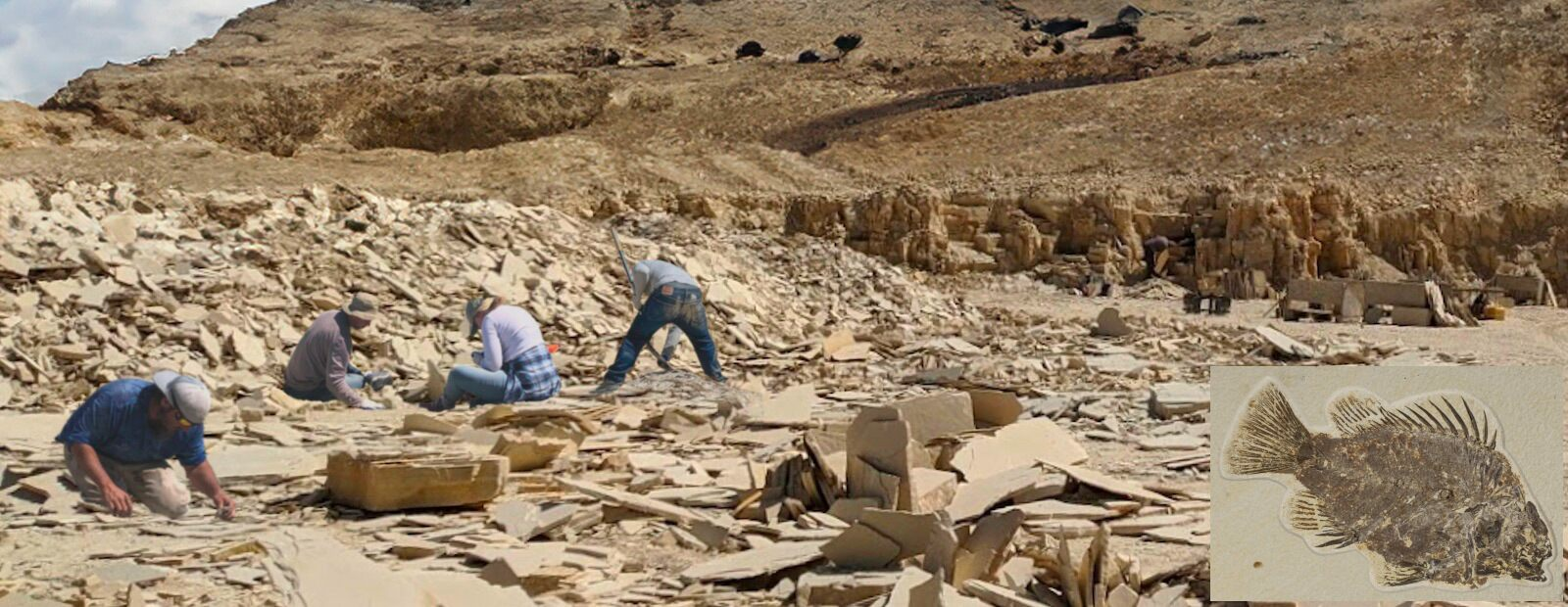 Customers displaying fossil fish at Fossil Lake Safari