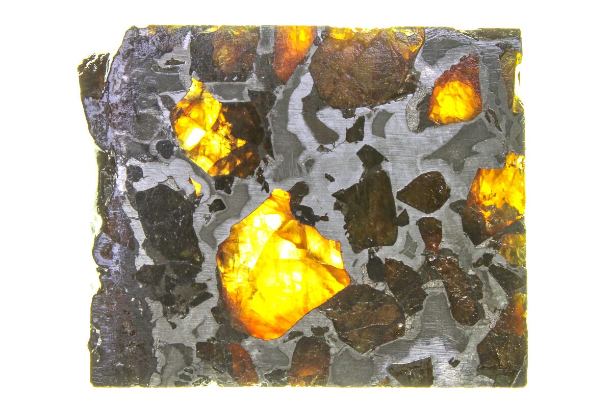brahin pallasite meteorite sale