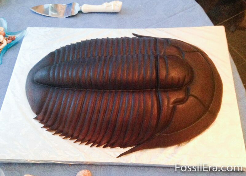Trilobite cake