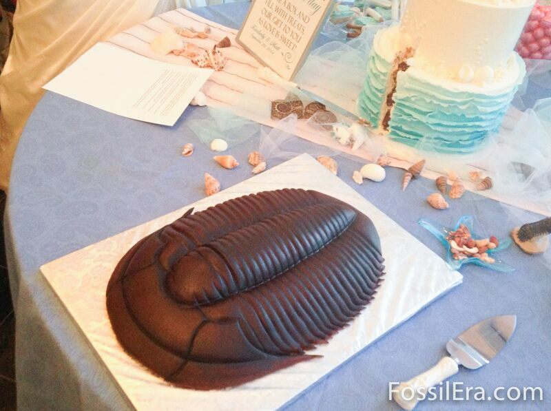 Trilobite cake