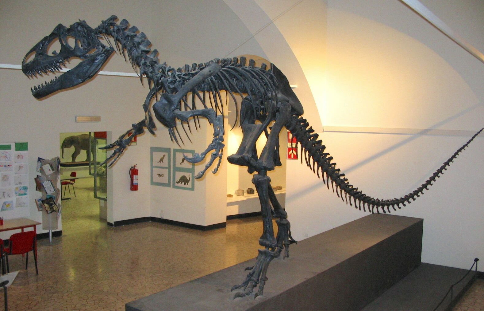 Utah State Fossil Allosaurus FossilEra Utah State Fossil Allosaurus FossilEra