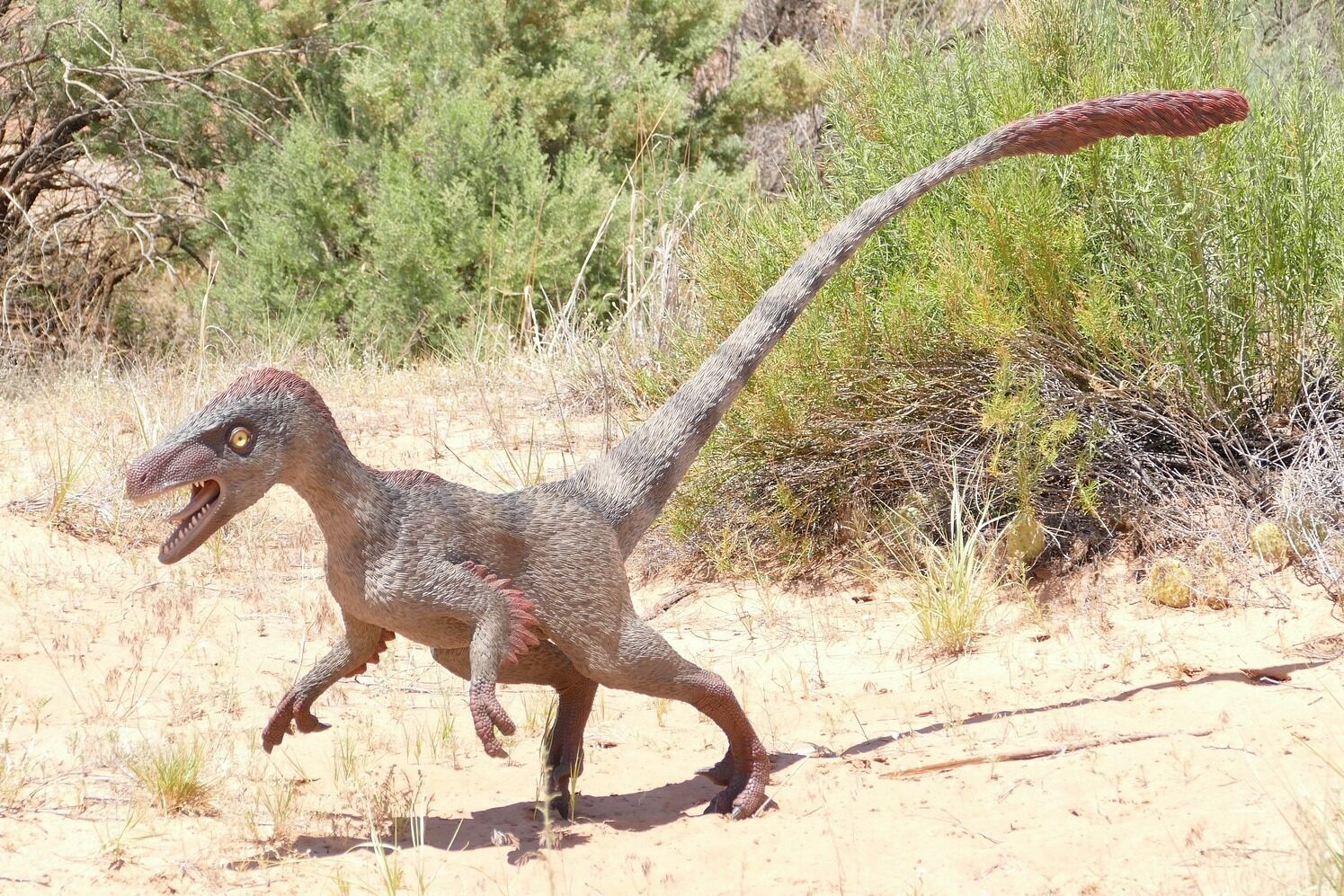 What Is A Raptor (Dinosaur)? 