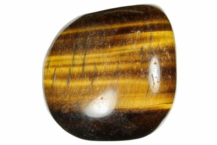 Large Tumbled Tiger's Eye Stones For Sale - FossilEra.com