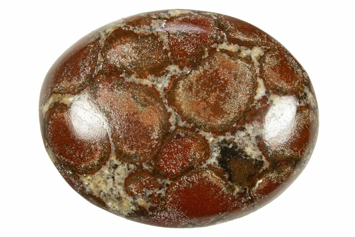 Polished King Cobra Orbicular Jasper Pocket Stones For Sale
