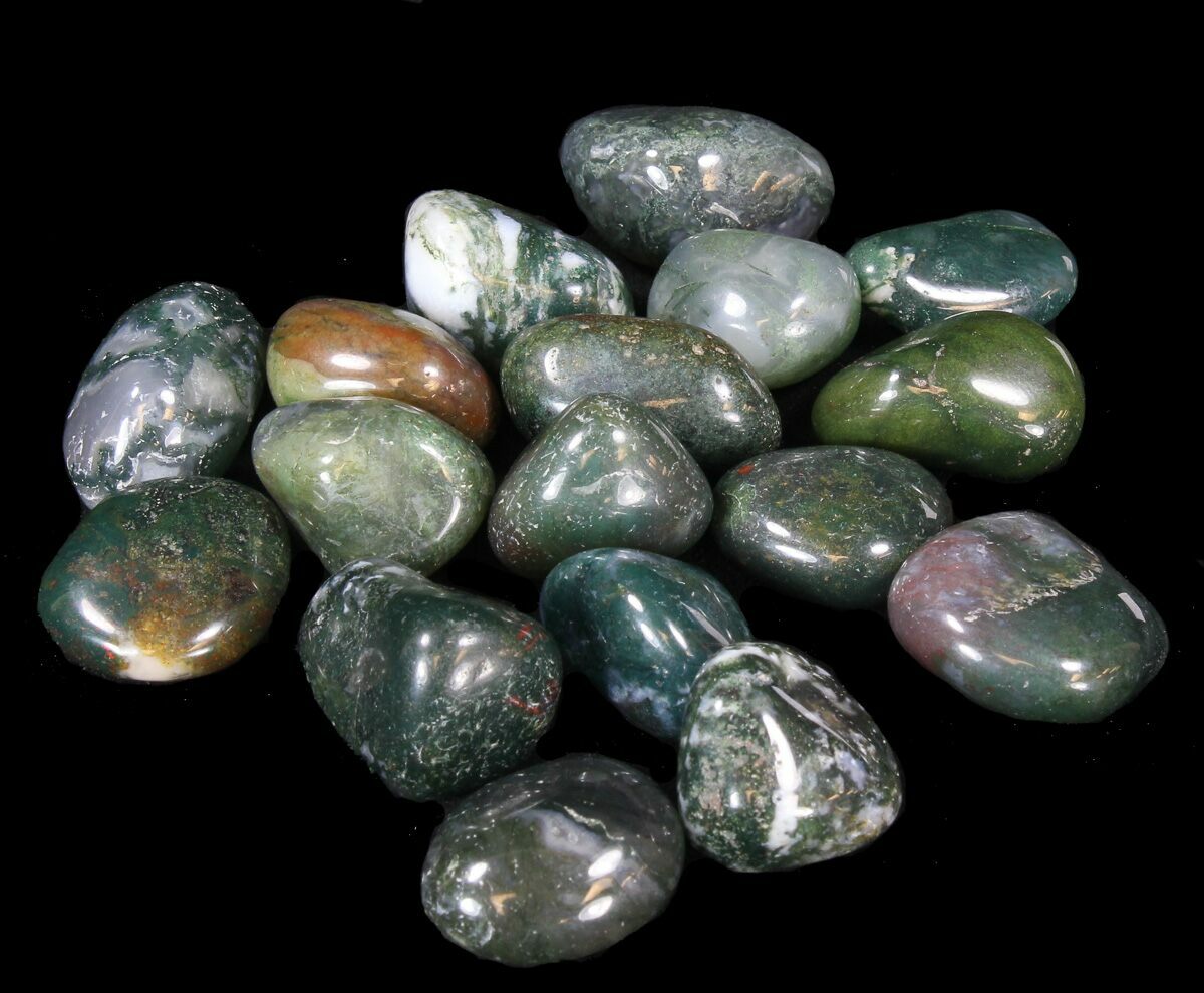 Bulk Polished Green Moss Agate - 8oz. (~ 20pc.) For Sale - FossilEra.com