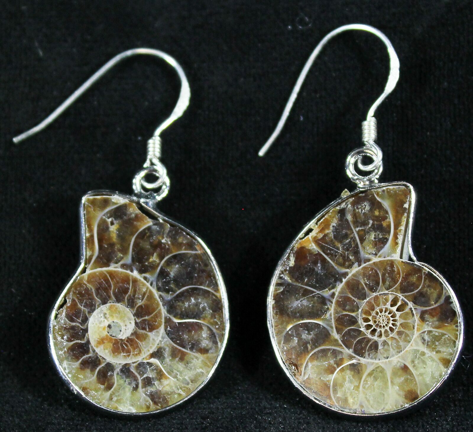 Fossil Ammonite Earrings Sterling Silver For Sale (23994