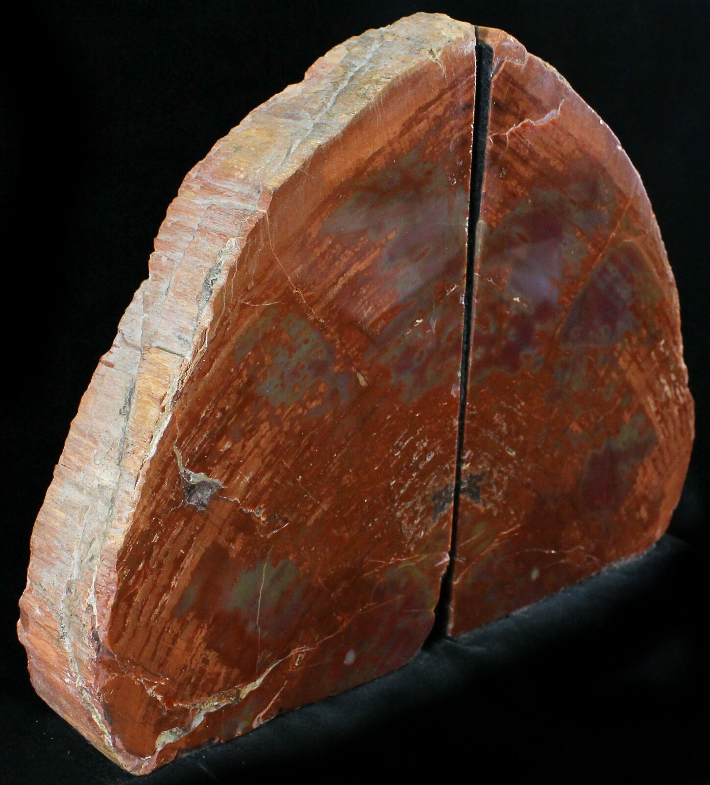 7.5" Tall Arizona Petrified Wood Bookends For Sale (24243)