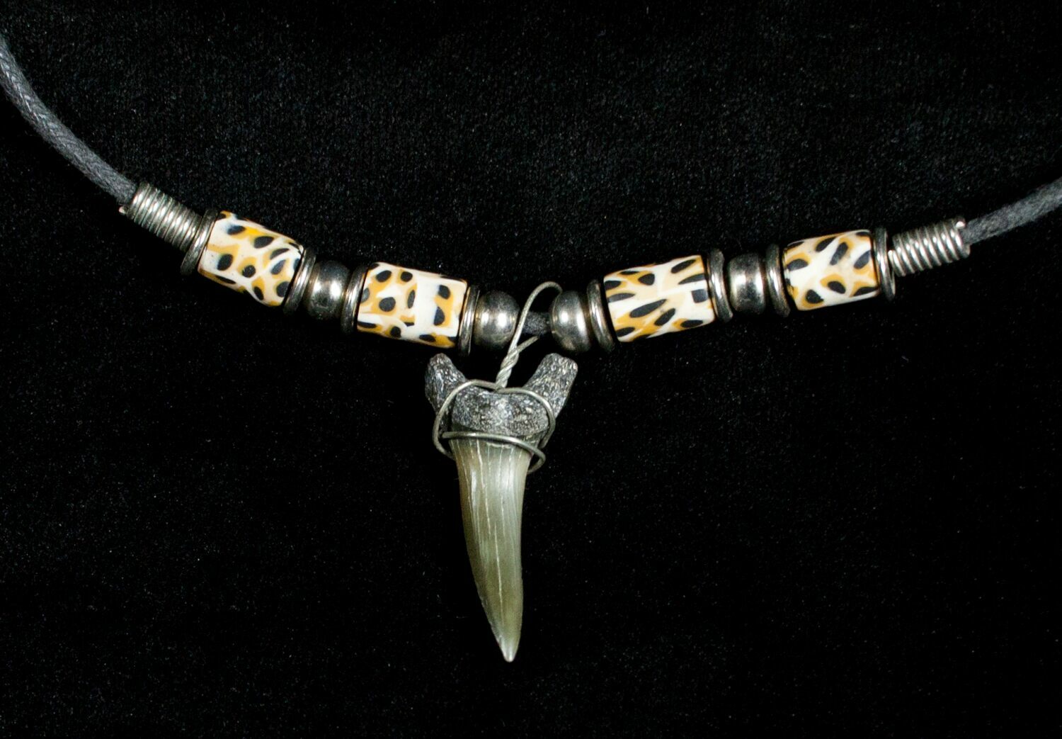 Fossil Sand Tiger Shark Tooth Necklace For Sale (#3539) - FossilEra.com