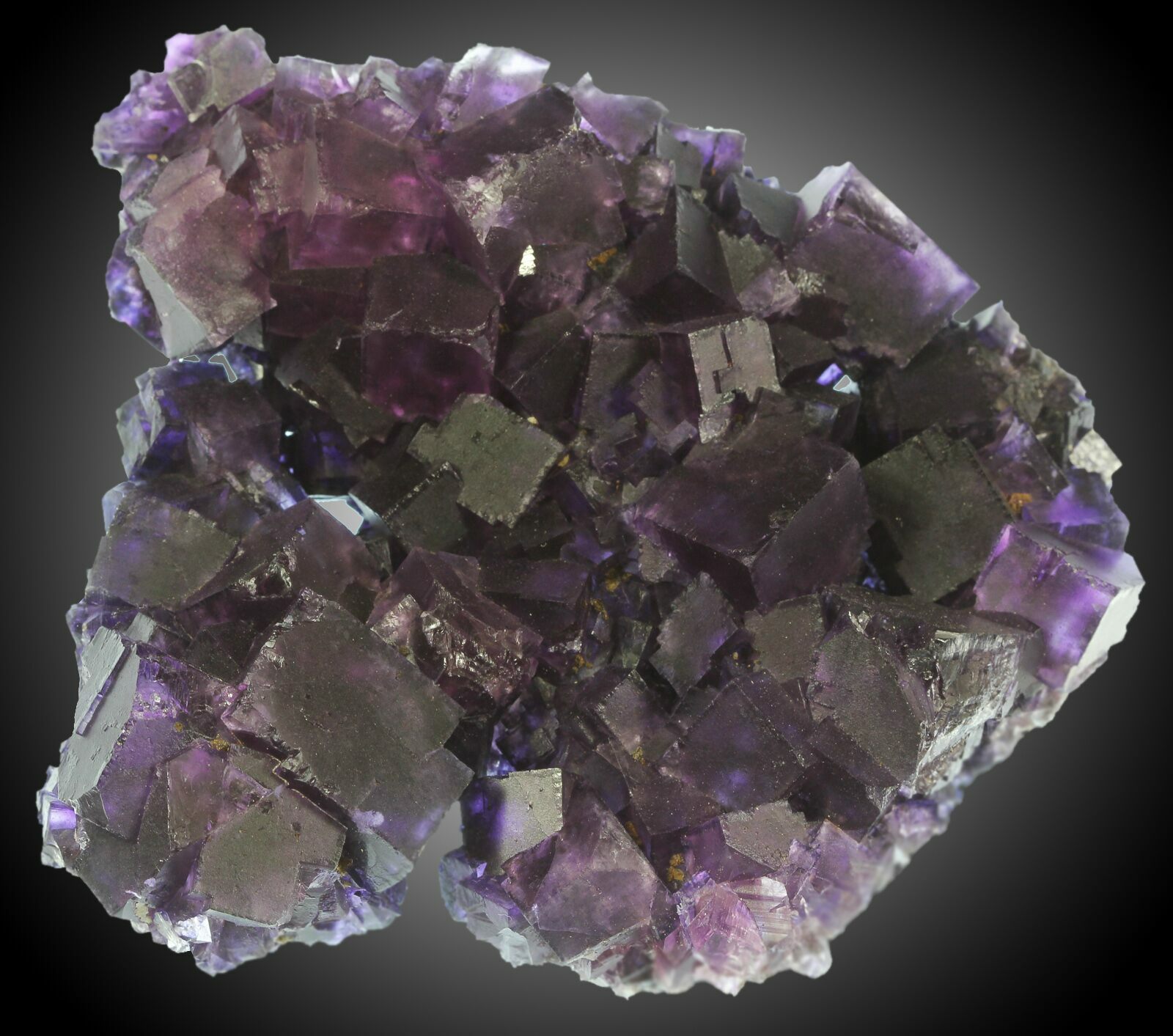4.4" Purple Cubic Fluorite CaveInRock, Illinois For Sale (31393