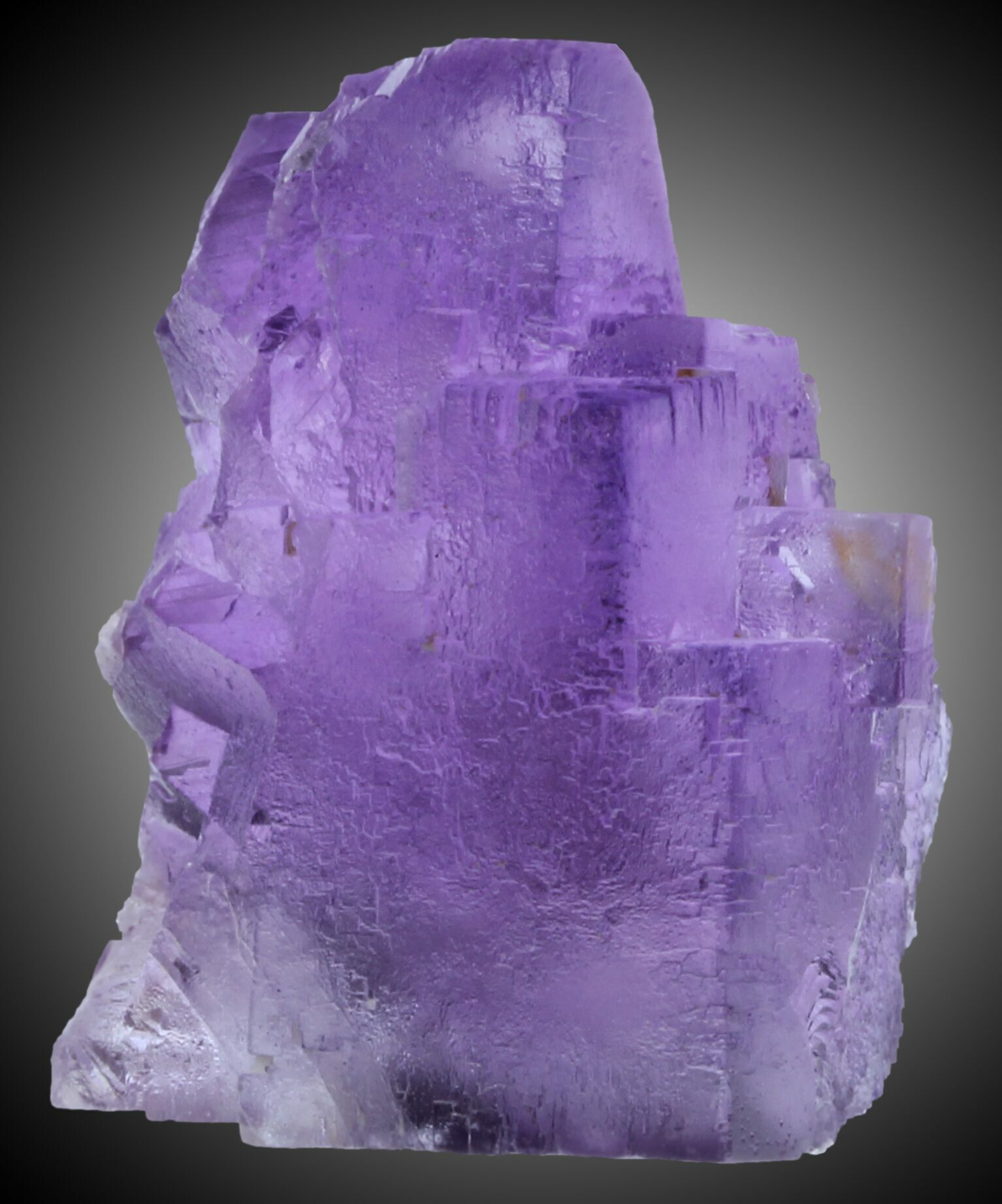 1.69" Cubic Fluorite CaveinRock, Illinois For Sale (31416