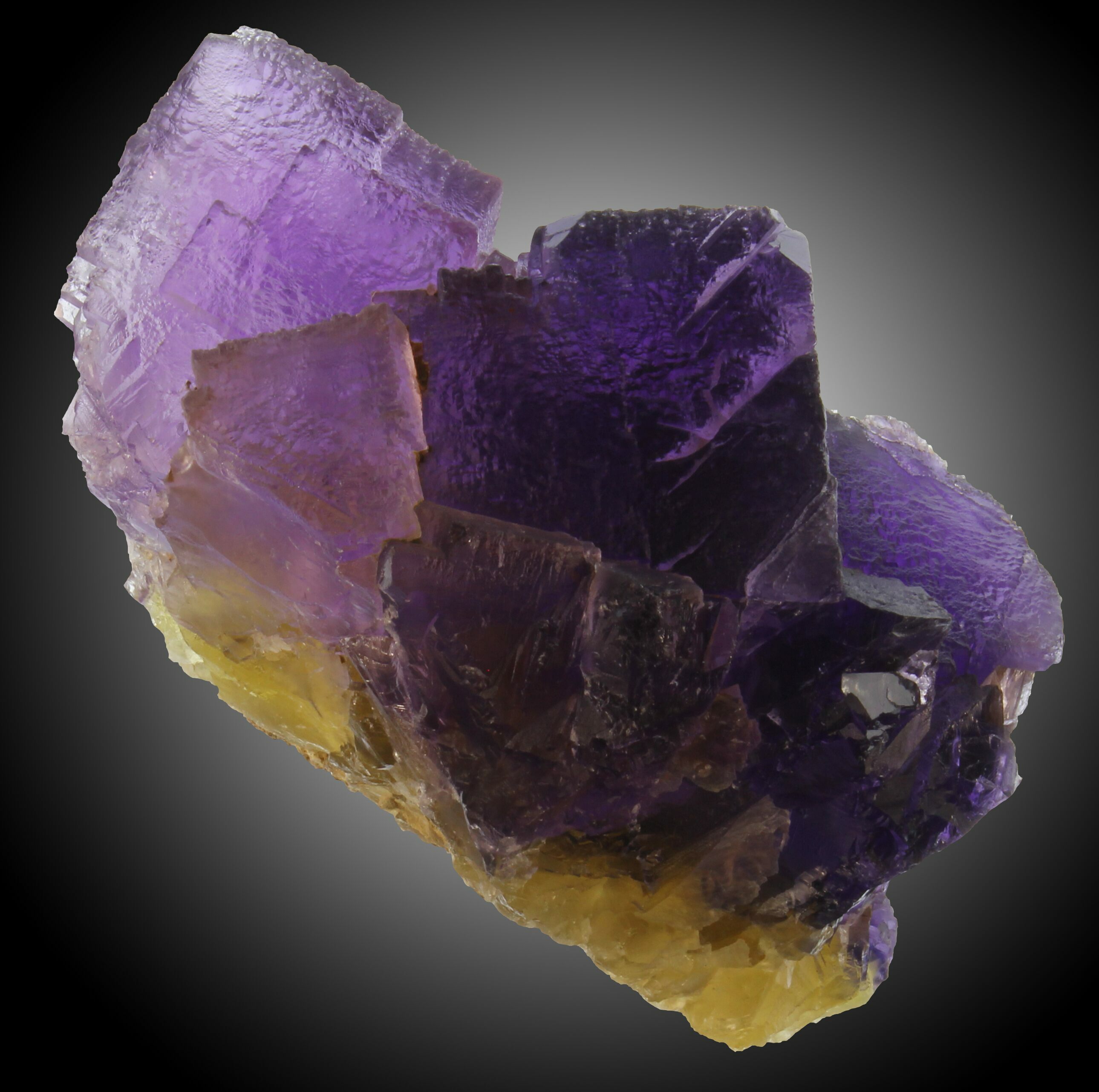 6.8" Cubic Purple/Yellow Fluorite CaveinRock, Illinois For Sale