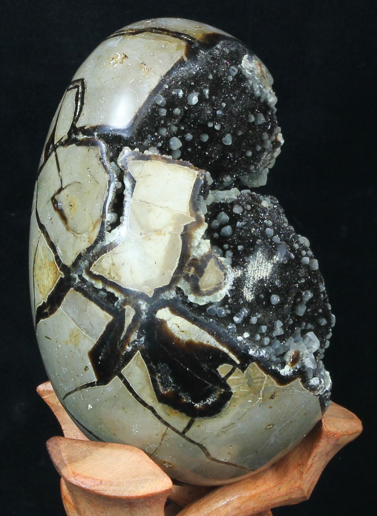 5.3" Septarian "Dragon Egg" Geode With Calcite Crystals For Sale