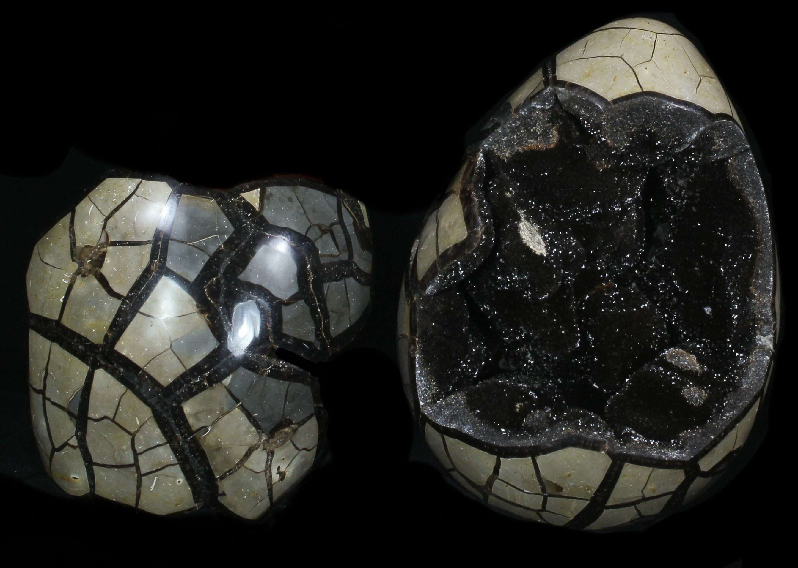 8.8" Septarian "Dragon Egg" Geode With Removable Section For Sale