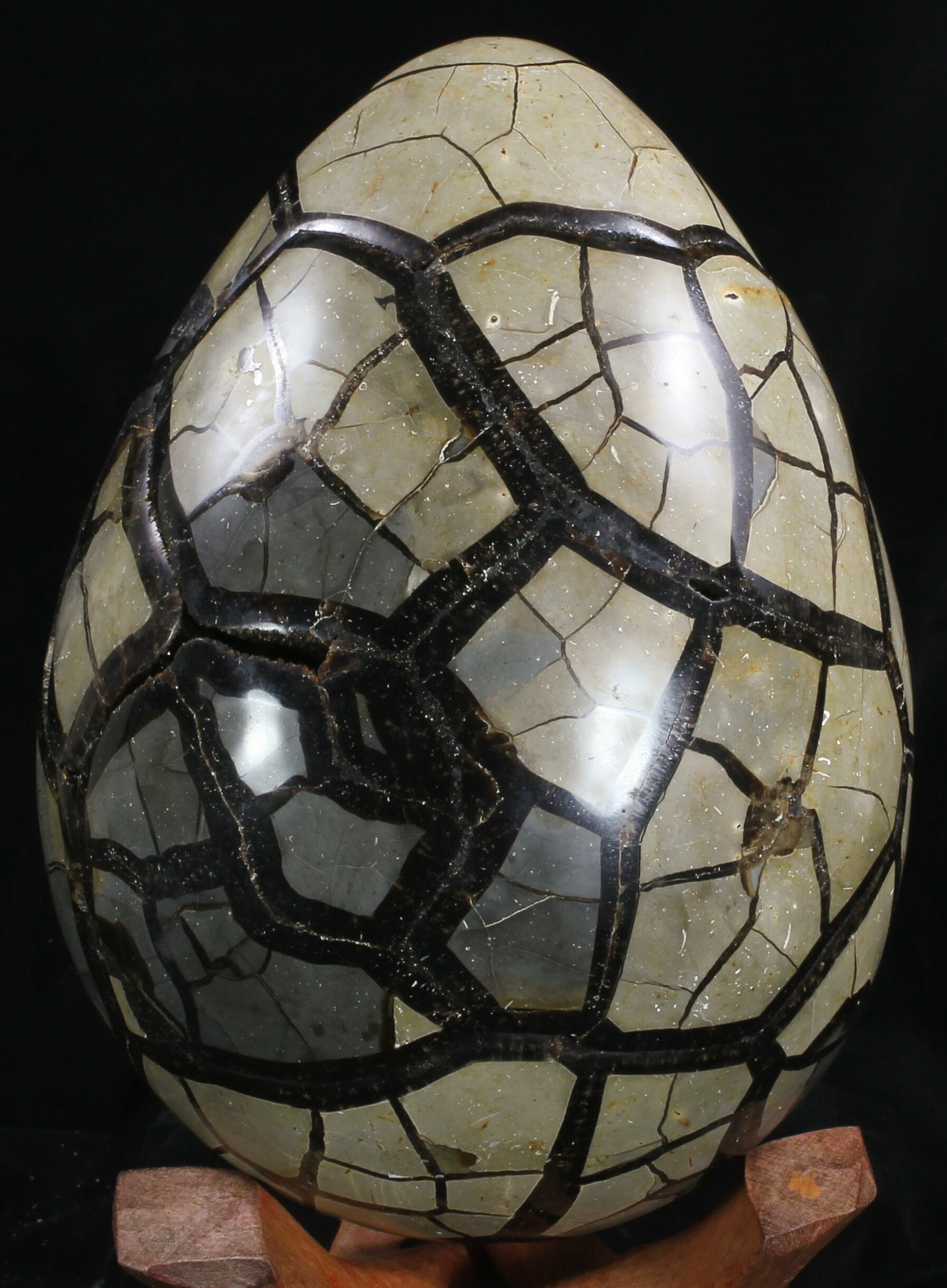 8.8" Septarian "Dragon Egg" Geode With Removable Section For Sale