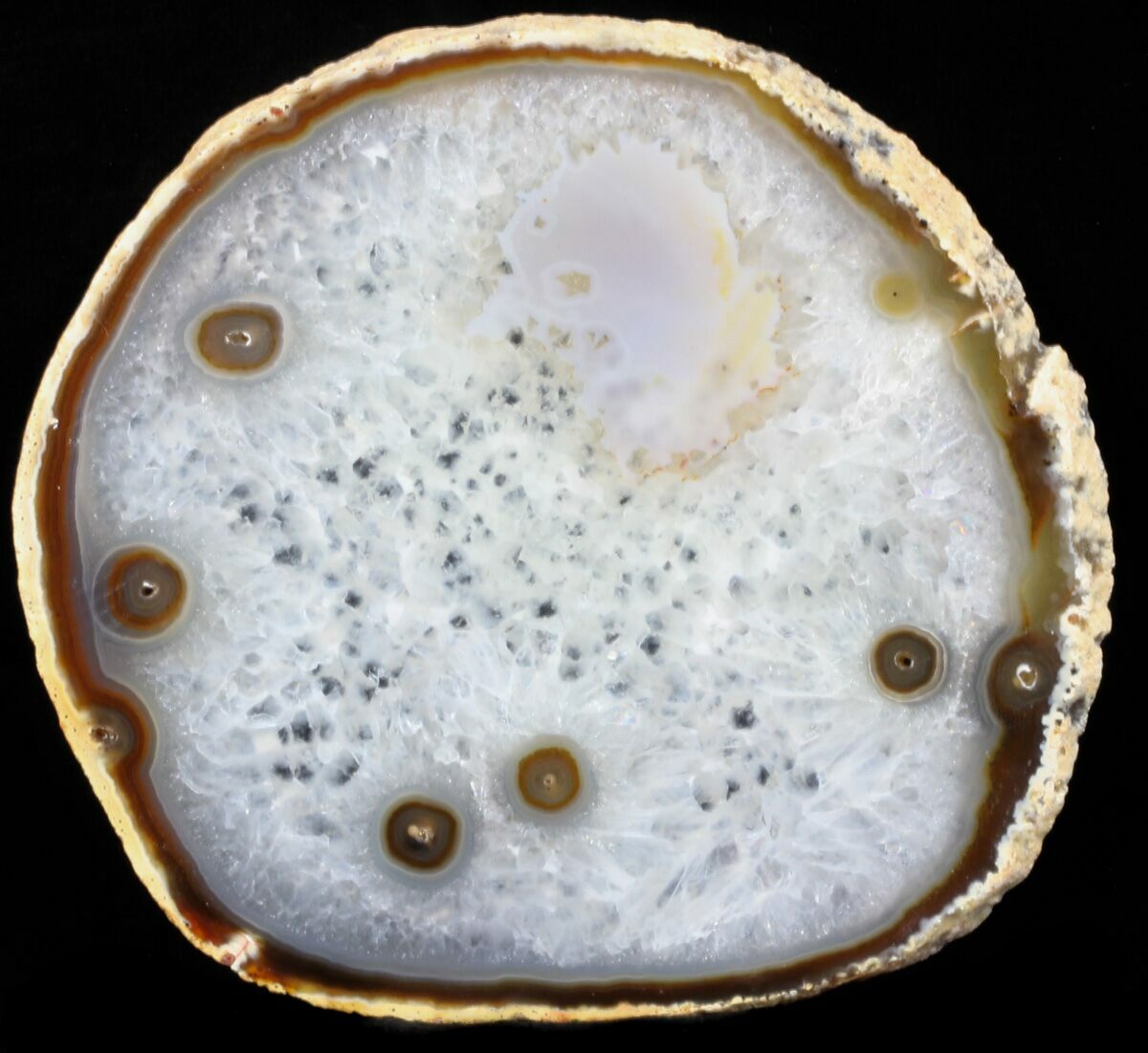 5.4" Polished Brazilian Agate Slice For Sale (34390)