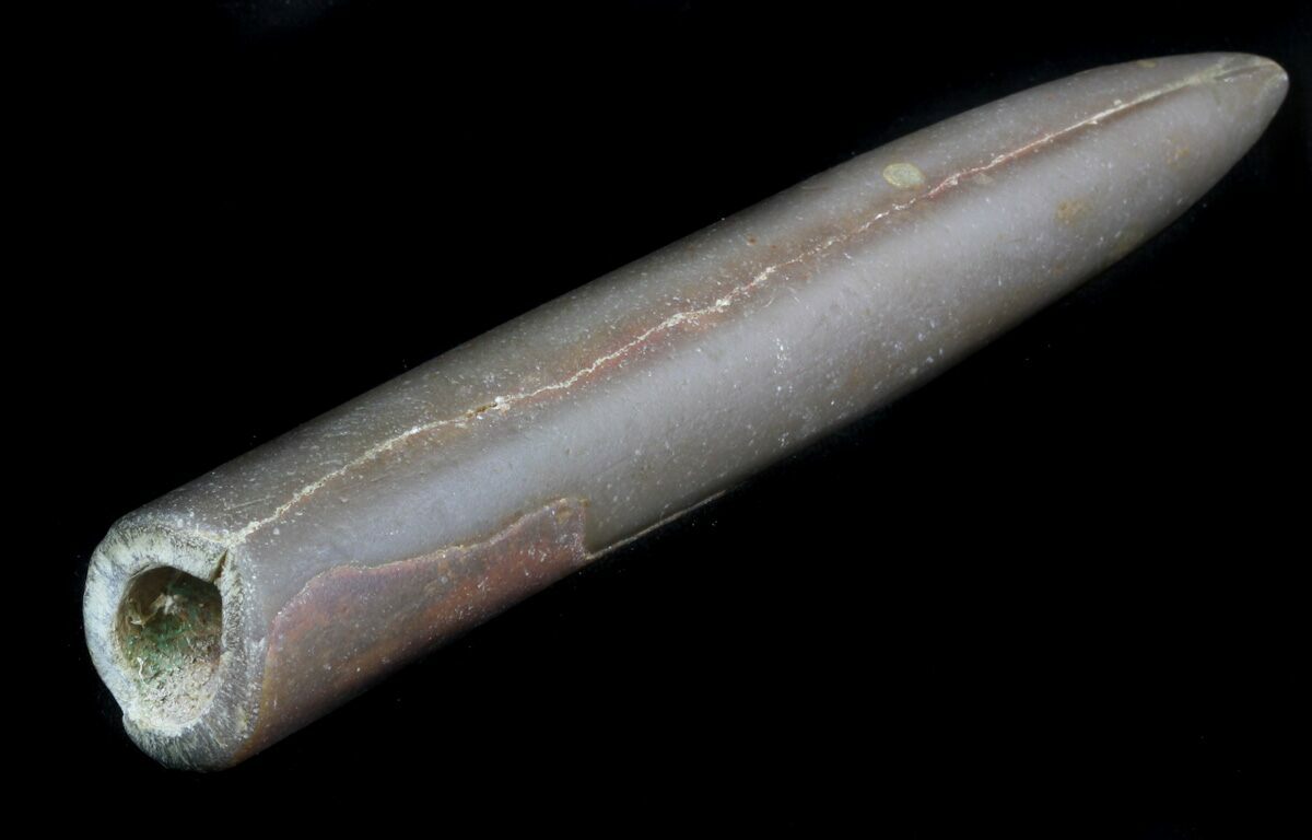 Large 5.8" Agatized Belemnite Fossil Russia For Sale (34561)