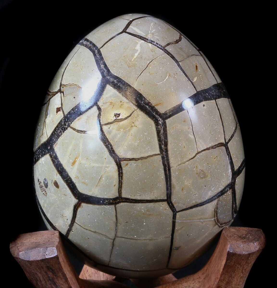 4.3" Septarian "Dragon Egg" Geode Black Crystals For Sale (34709