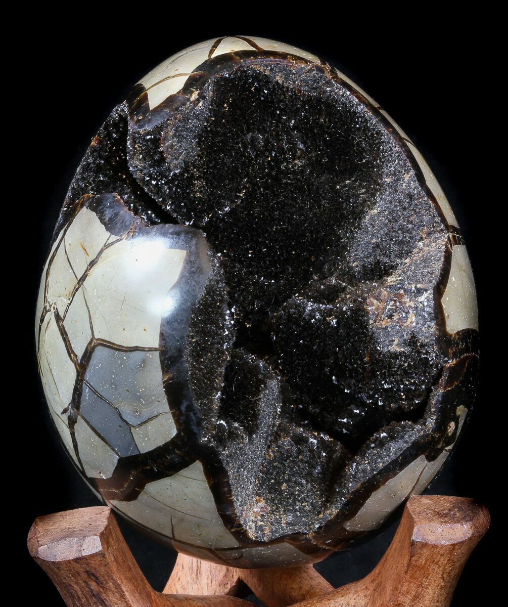4.7" Septarian Geode Shiny Black Crystals For Sale (34719