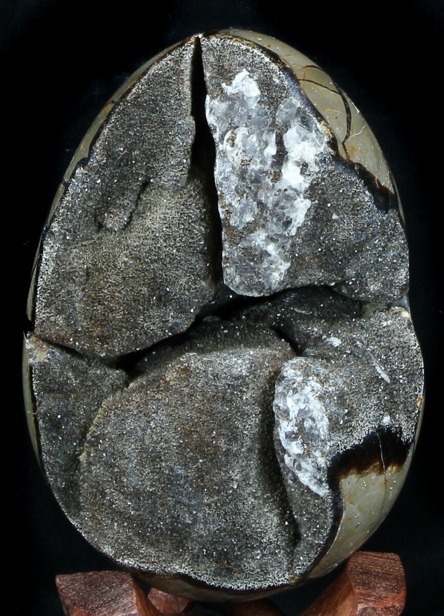 5.2" Septarian "Dragon Egg" Geode Brown Crystals For Sale (36051