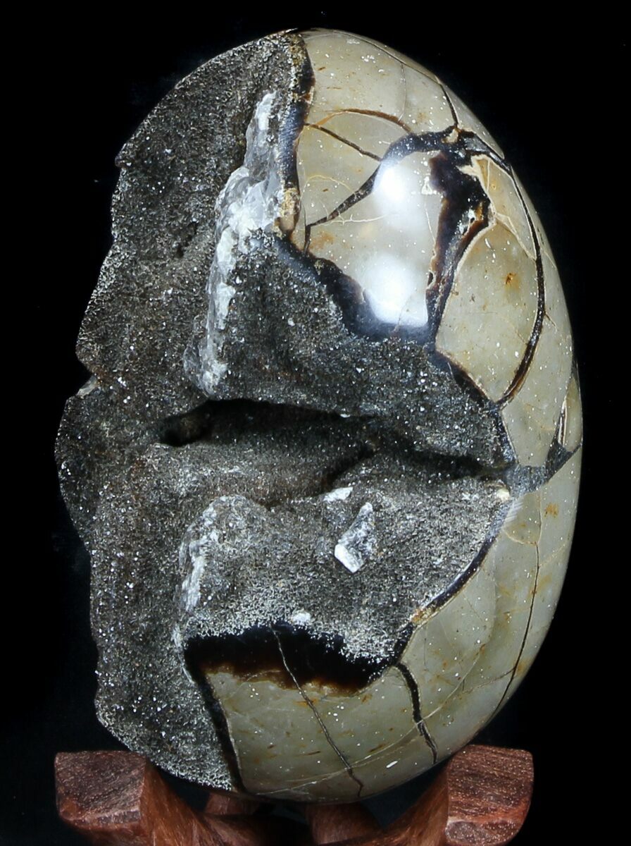 5.2" Septarian "Dragon Egg" Geode Brown Crystals For Sale (36051