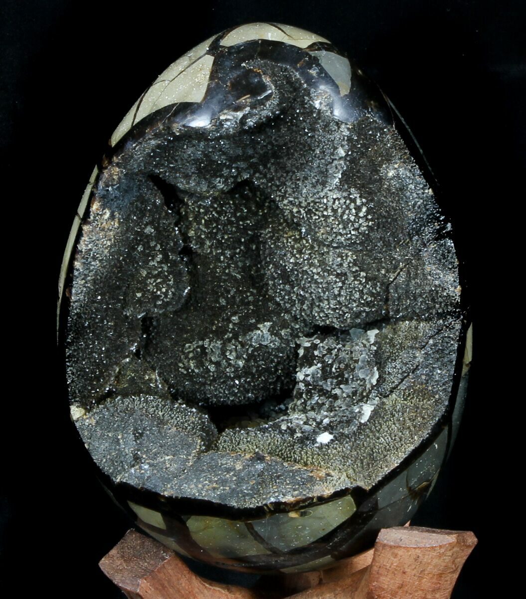5.8" Septarian "Dragon Egg" Geode Brown Crystals For Sale (36052