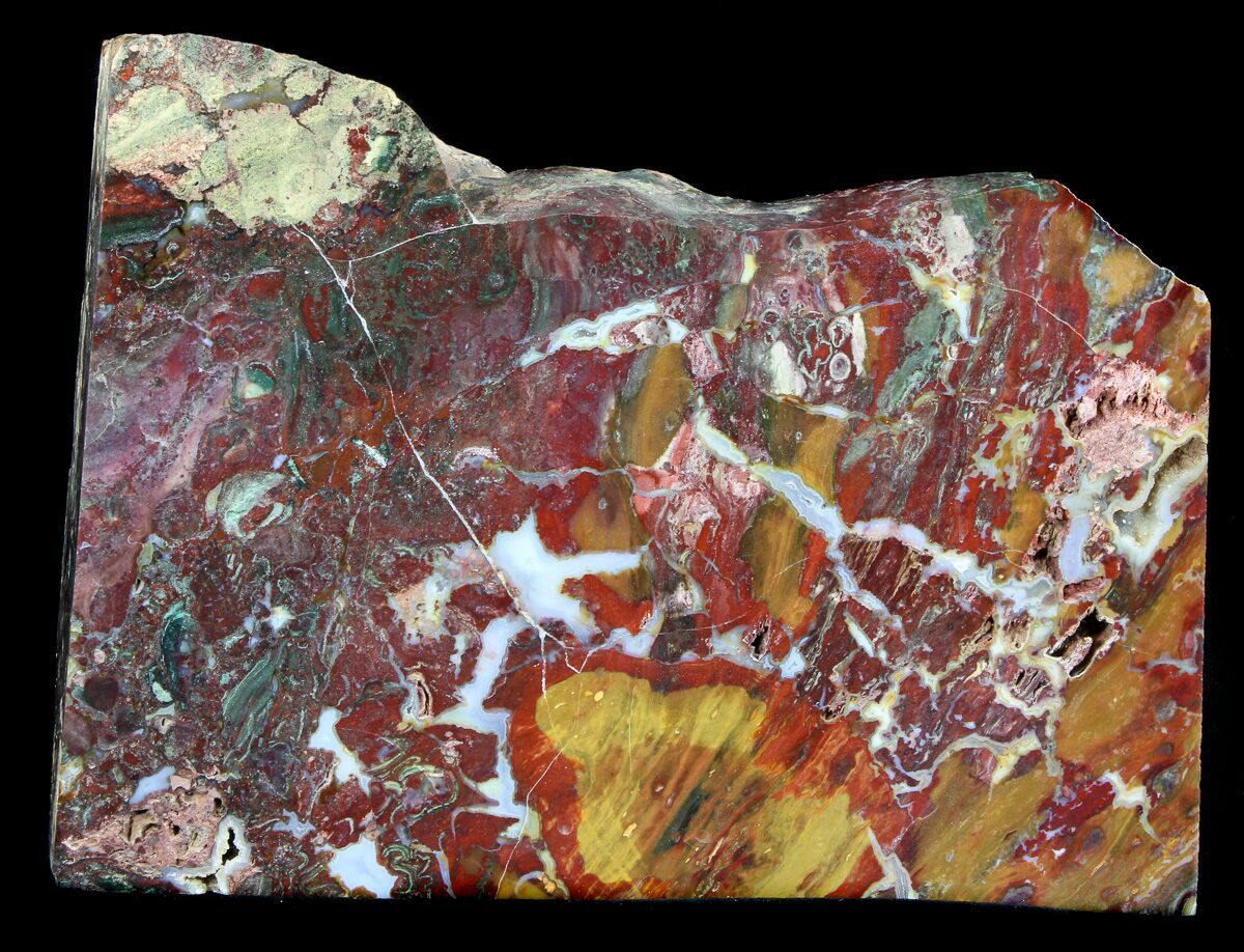 10" Jasper Replaced Petrified Wood Oregon For Sale (36659