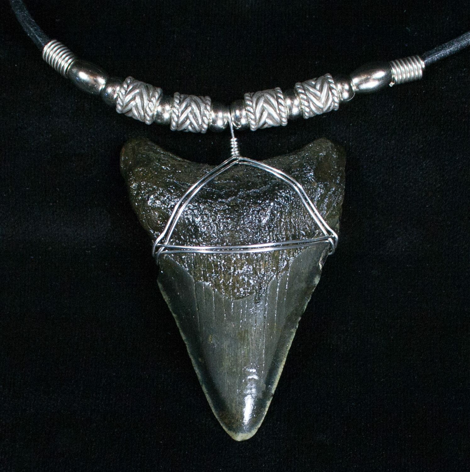 Megalodon Tooth Necklace For Sale (#4045) - FossilEra.com
