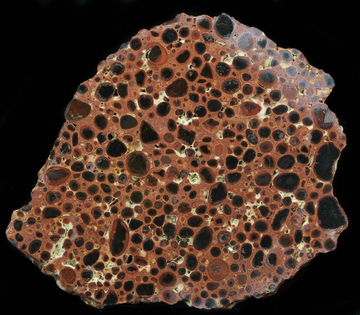 6.7" Polished Bauxite (Aluminum Ore) Slab Australia For Sale (40174