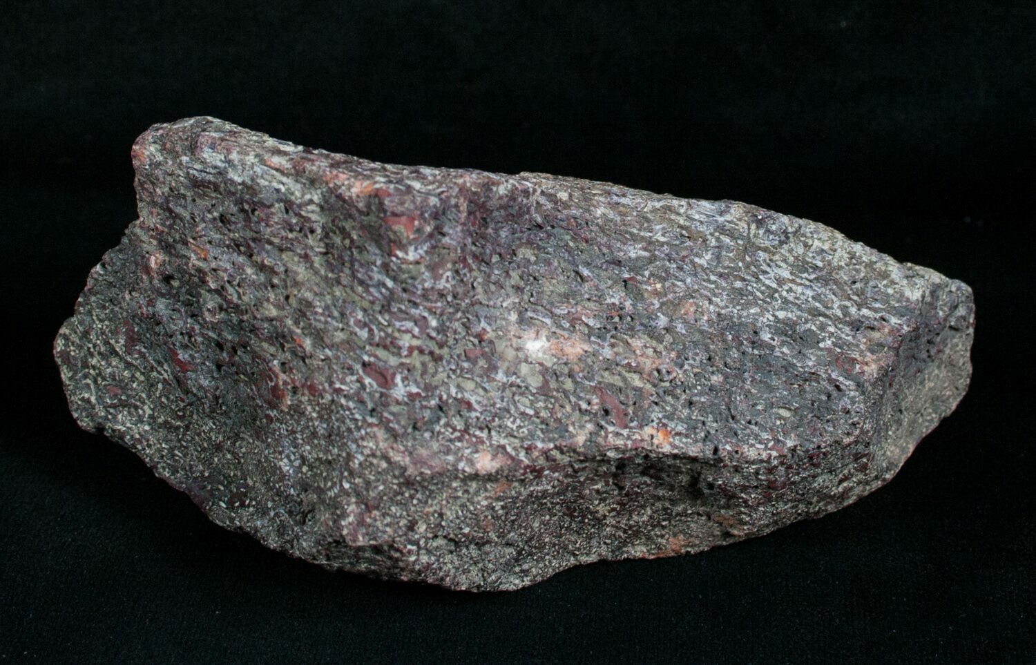 Agatized Dinosaur Bone - 13 Ounces For Sale (#4244) - FossilEra.com