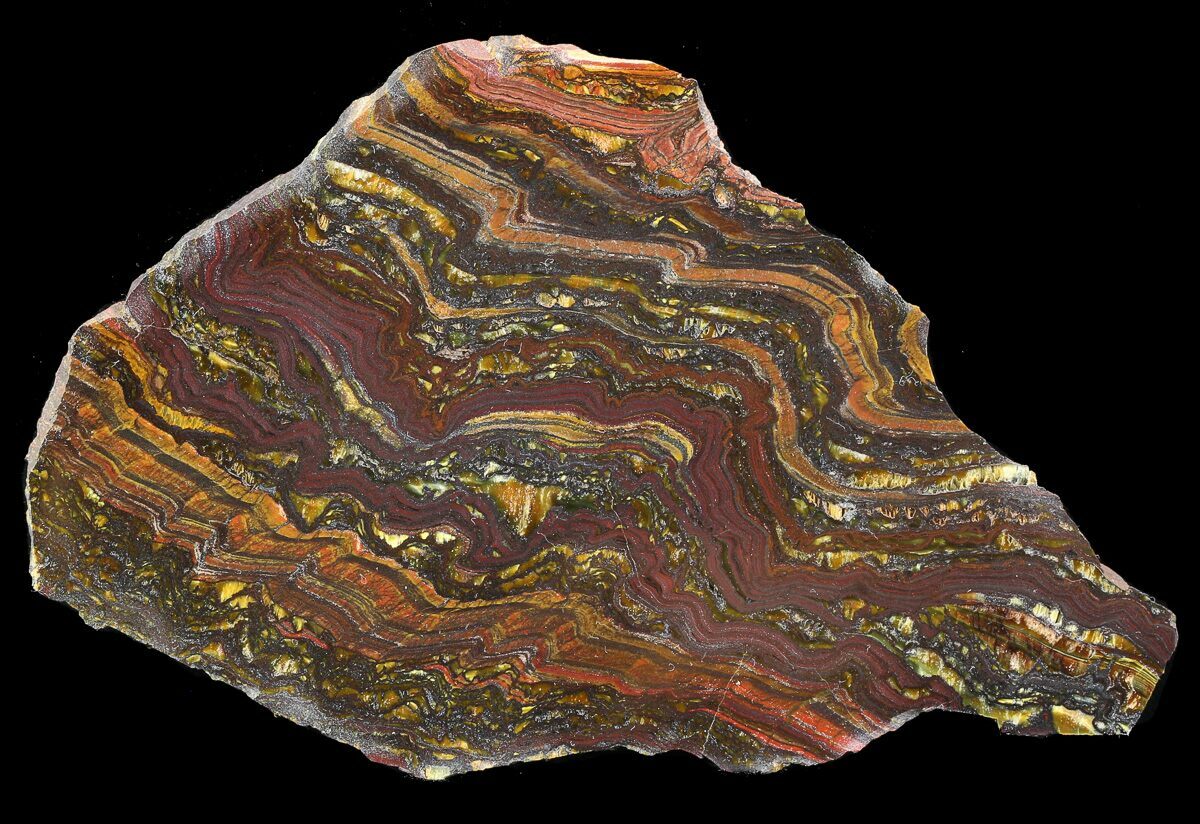 Image result for stromatolite