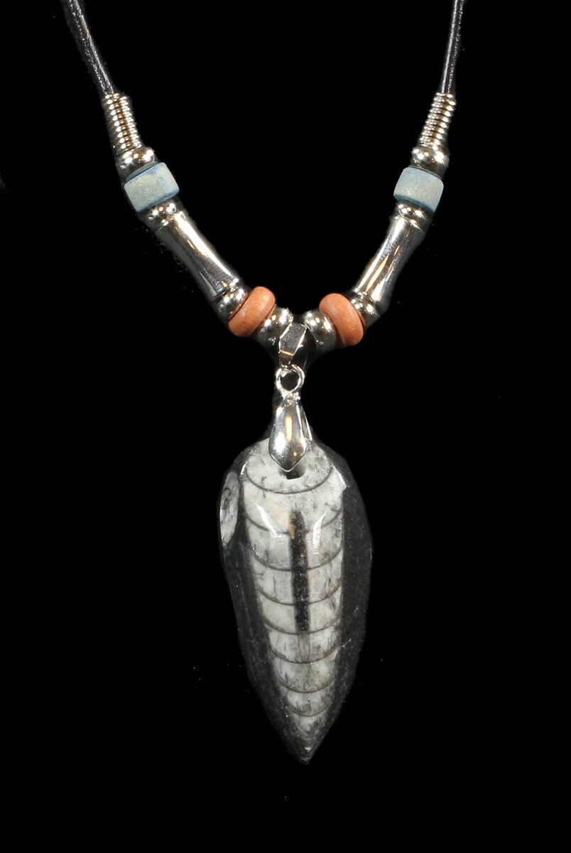 Fossil Orthoceras (Devonian Cephalopod) Necklace For Sale (43117