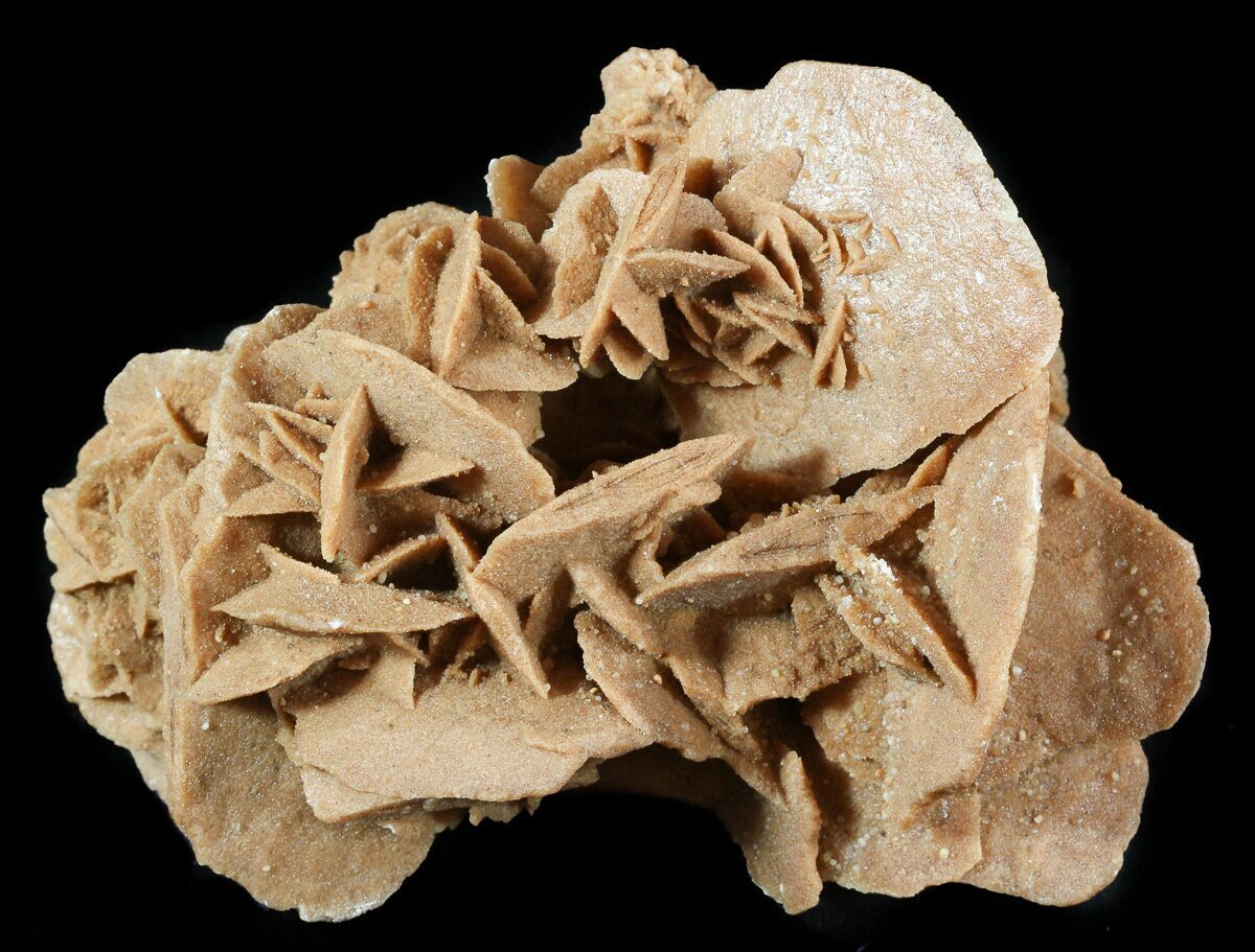 5.6" Desert (Selenite) Rose Sahara Desert For Sale (46550