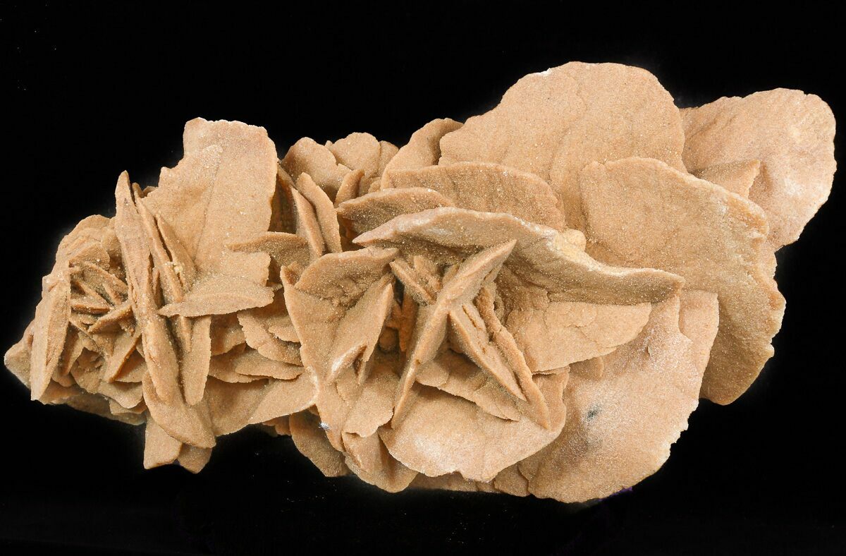 8.6" Desert (Selenite) Rose Formation Sahara Desert For Sale (46546