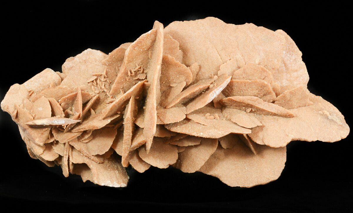 8.6" Desert (Selenite) Rose Formation Sahara Desert For Sale (46546