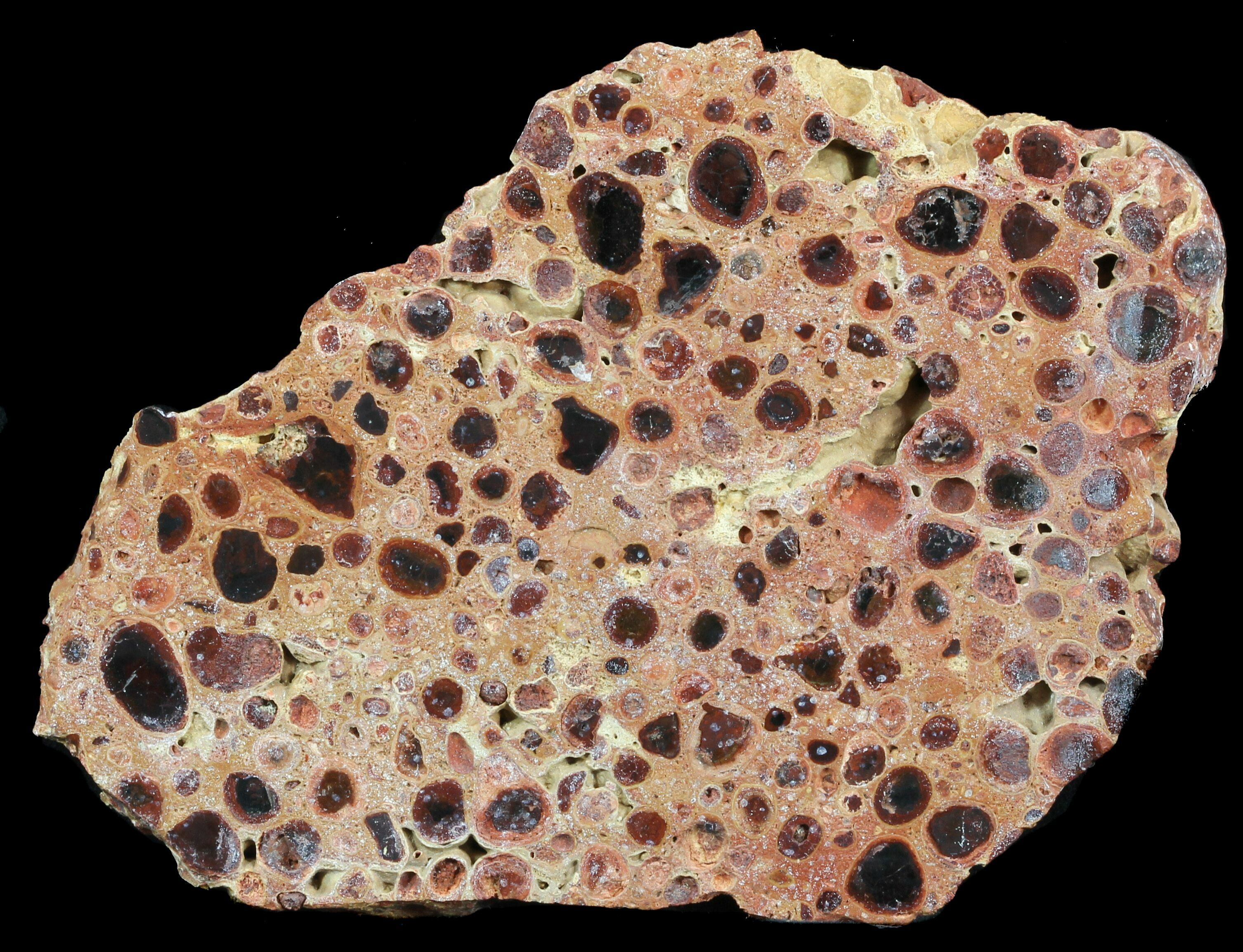 4.9" Polished Bauxite (Aluminum Ore) Slab Australia For Sale (46691