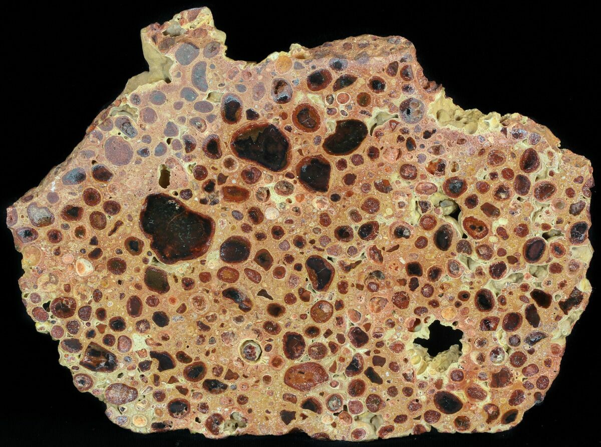 6.5" Polished Bauxite (Aluminum Ore) Slab Australia For Sale (46707