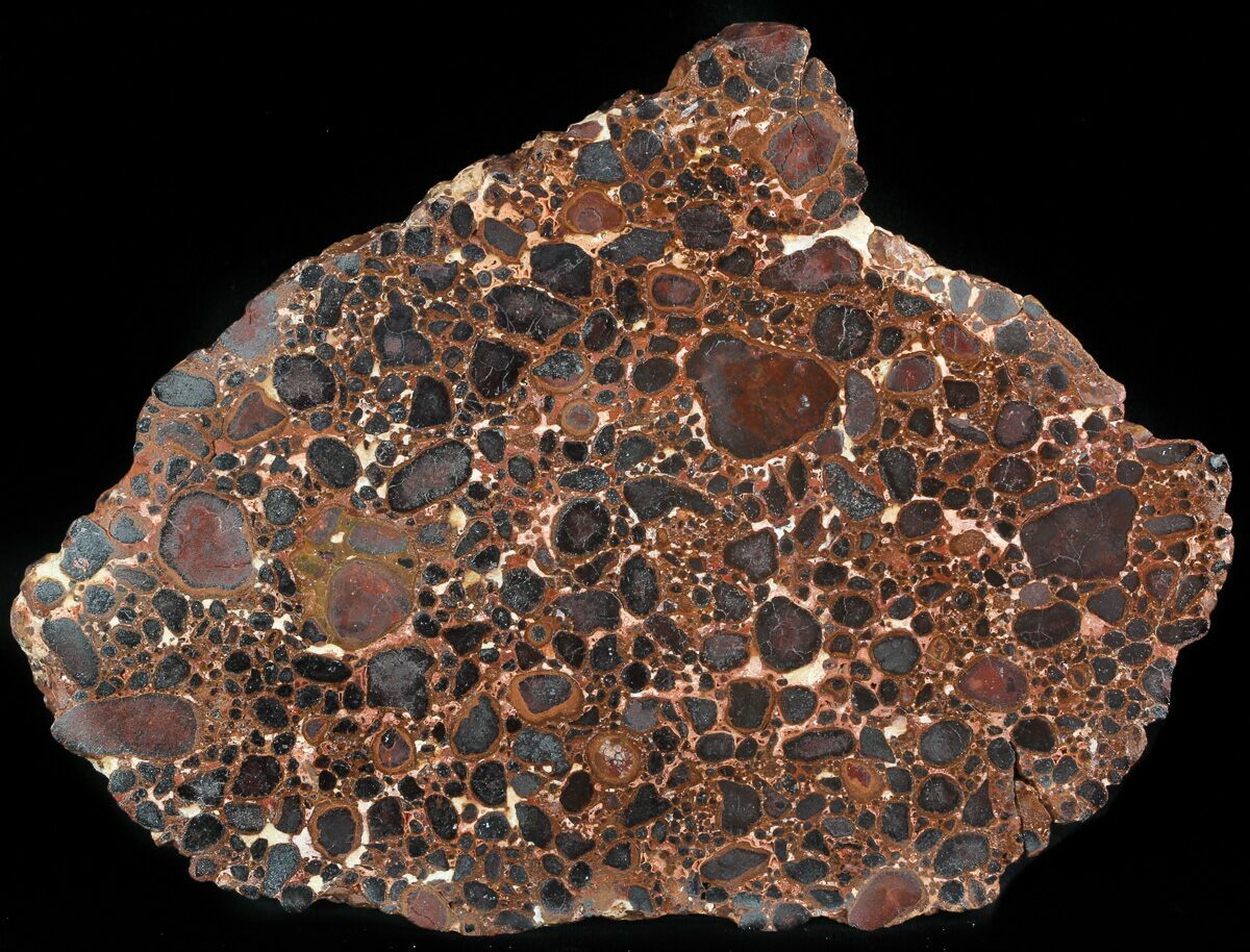 7.7" Polished Bauxite (Aluminum Ore) Slab Australia For Sale (46710