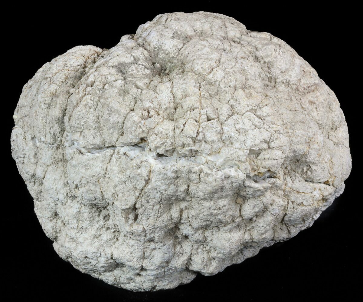 4.7" Keokuk Geode with Quartz Missouri For Sale (47110)