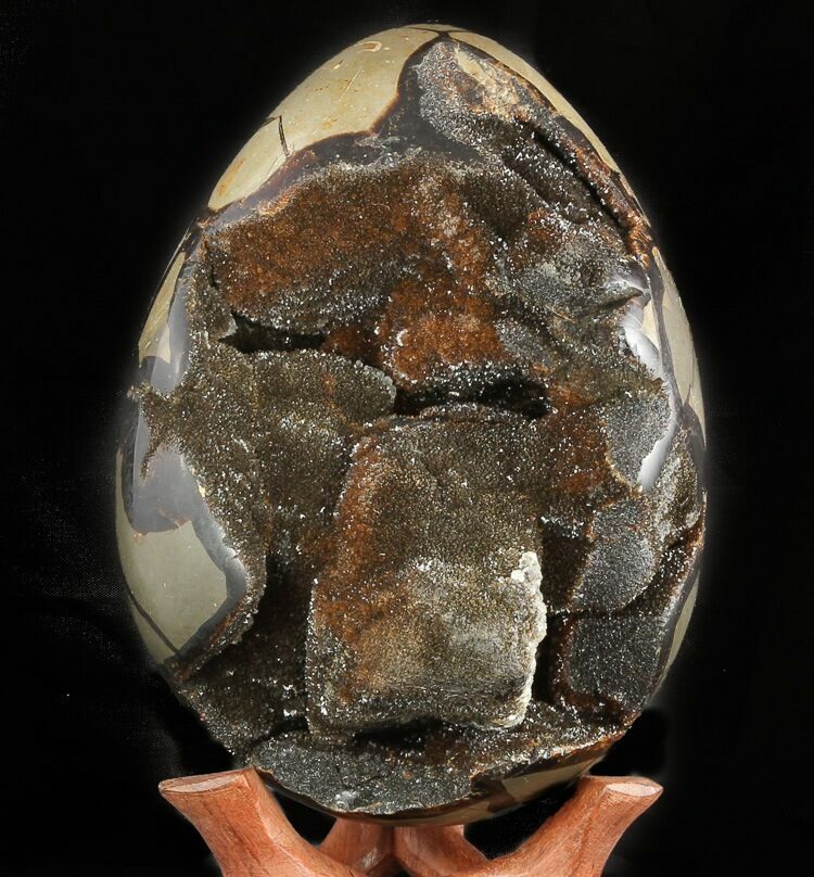 8.2" Septarian "Dragon Egg" Geode Black Crystals For Sale (47471