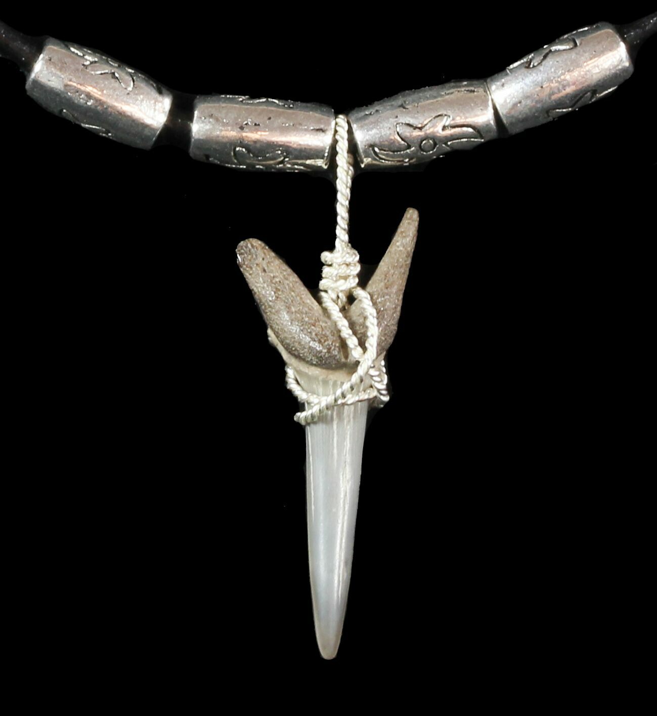 Fossil Sand Tiger Shark Tooth Necklace For Sale (#47587) - FossilEra.com