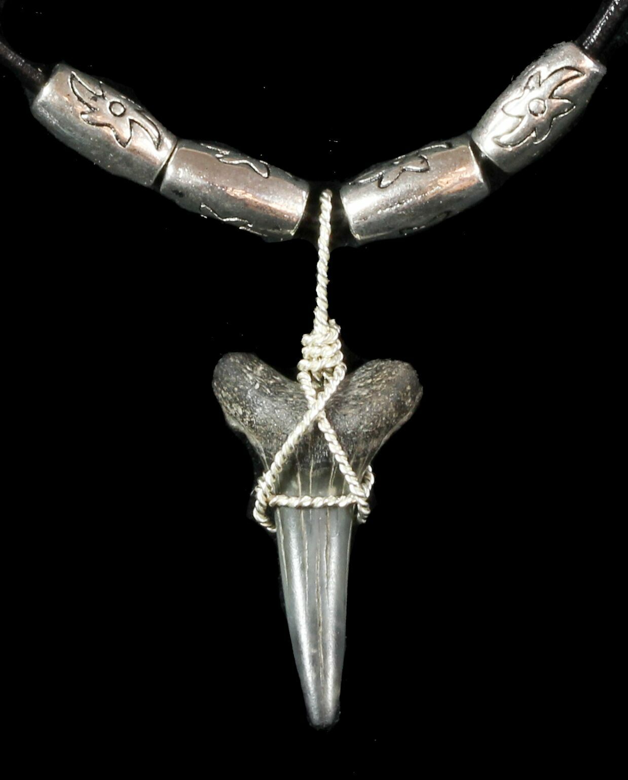 Fossil Sand Tiger Shark Tooth Necklace For Sale (#47595) - FossilEra.com