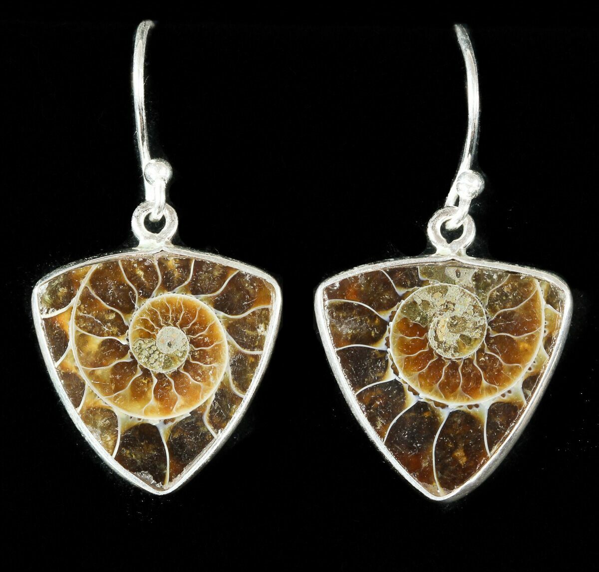 Fossil Ammonite Earrings Sterling Silver For Sale (48753