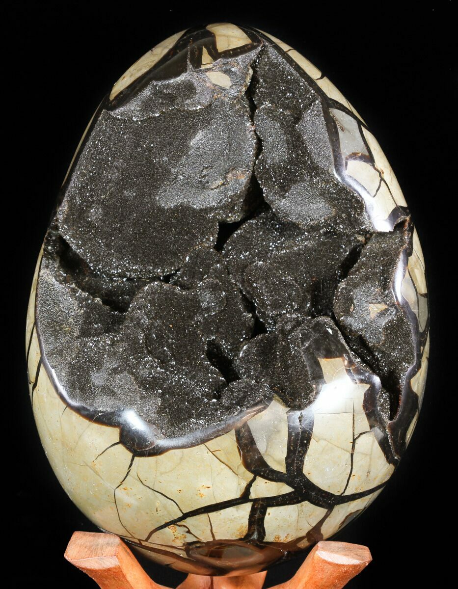 Masive, 11.1" Septarian "Dragon Egg" Geode Cyber Monday Deal! For