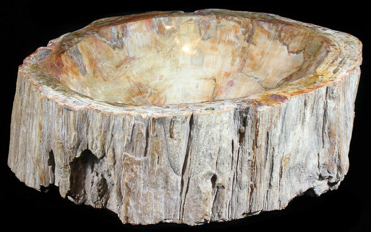 14.3" Wide Polished Petrified Wood Bowl 37 lbs For Sale (50946