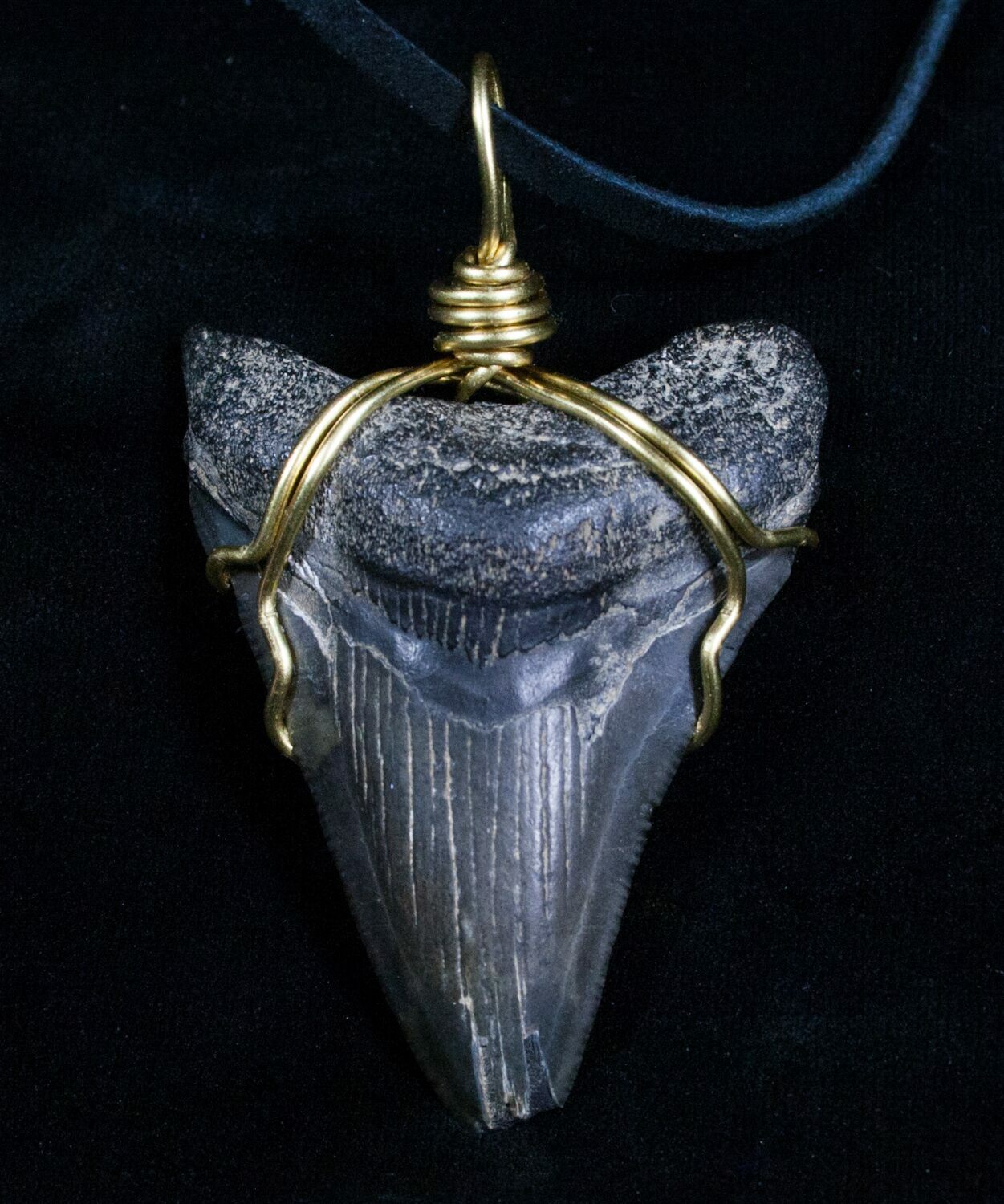 Wire Wrapped Megalodon Tooth Necklace For Sale (4693)