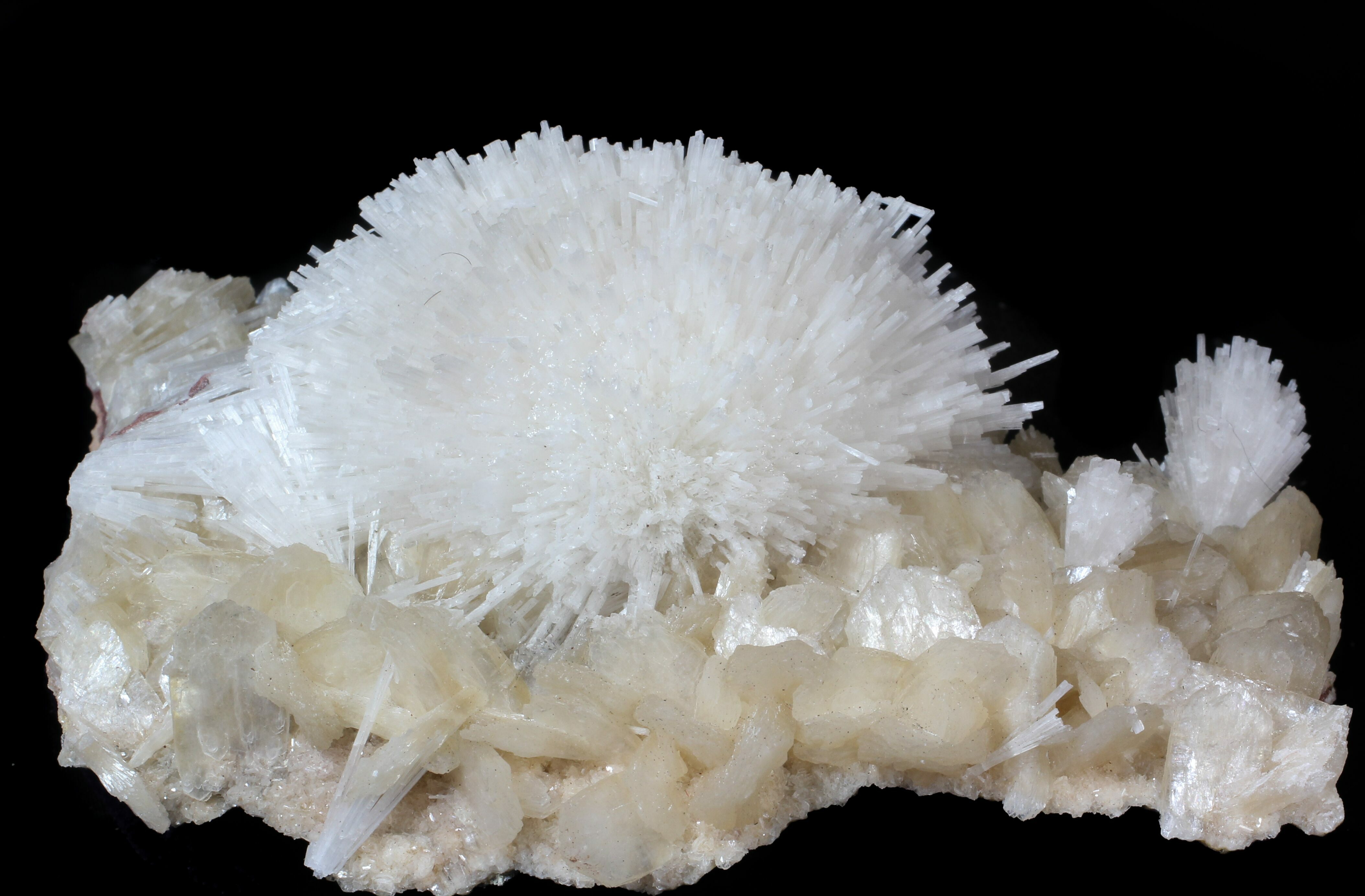 4.8" Scolecite (Zeolite) Sprays on Stilbite Maharashtra, India For