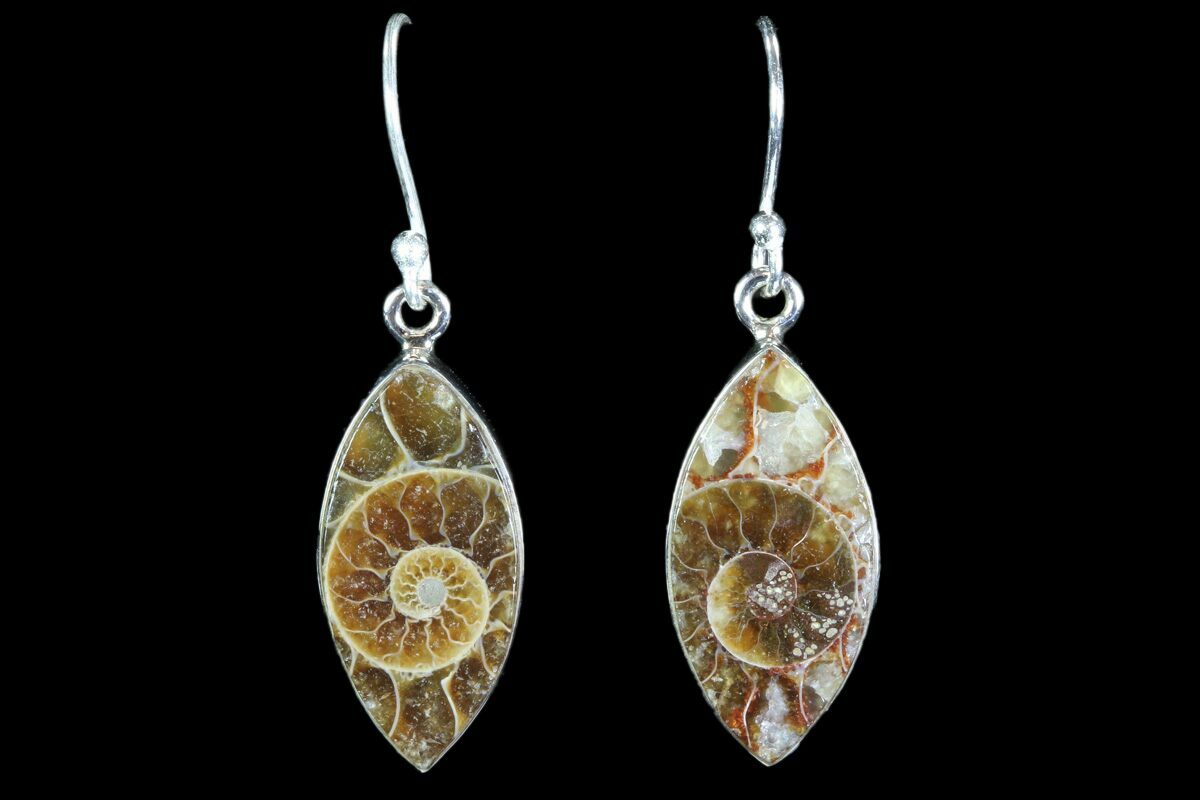 Fossil Ammonite Earrings Sterling Silver For Sale (82255