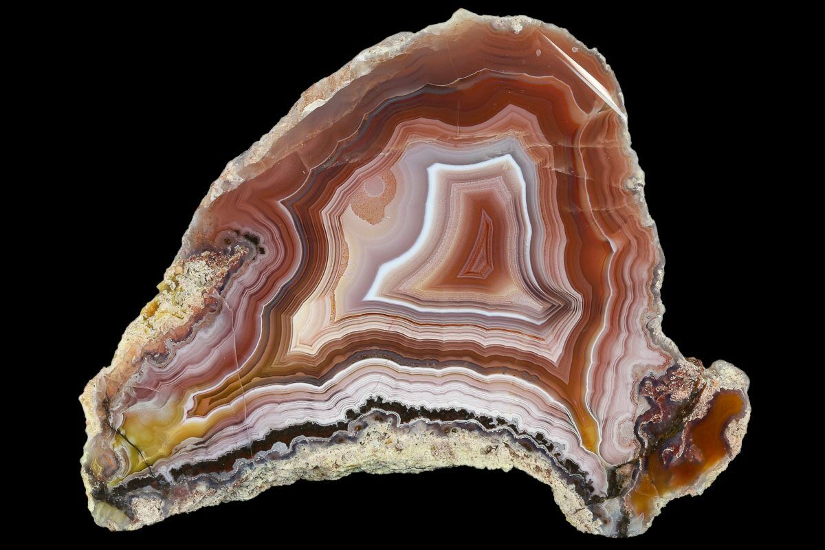 Agate, Chalcedony & Jasper - What's the Difference? - FossilEra.com