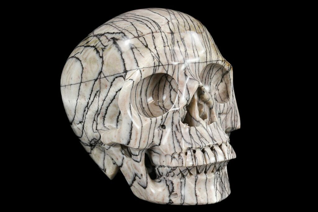 Crystal Skull Sculpture Mineralbiz 1 3 1 5 Natural Line Picasso Jasper Carved Human Skull Head Stone Carving Statues Sculptures Uni Tankers Dk